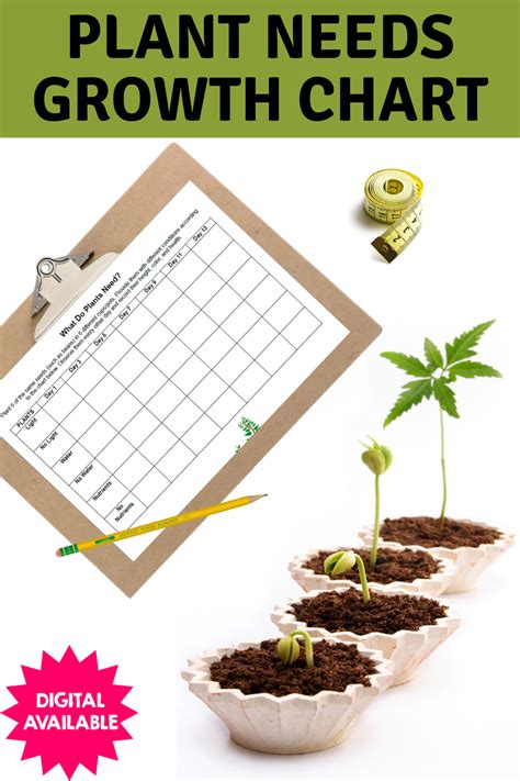 plant growth measurement chart